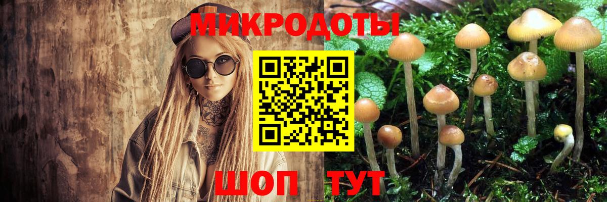 Псилоцибиновые грибы мицелий Ивантеевка
